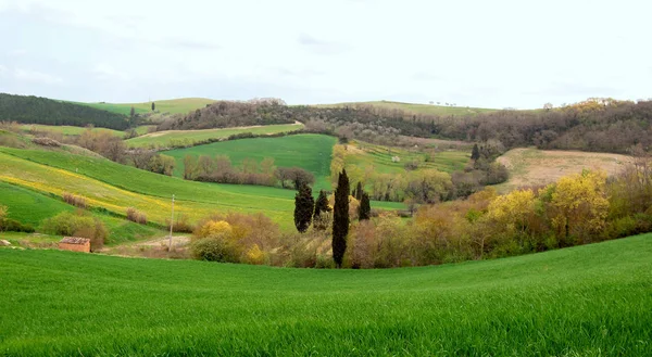 Blick Auf Die Küste Der Toskana — Stockfoto