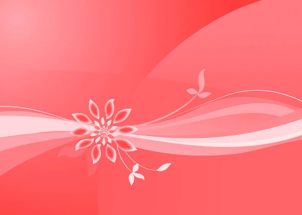 Pink Background Backdrop Wallpaper — Stock Photo, Image