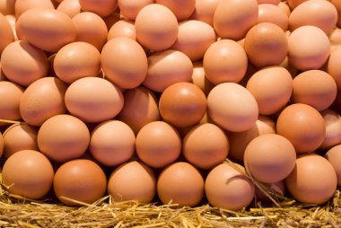 fresh eggs from the market clipart