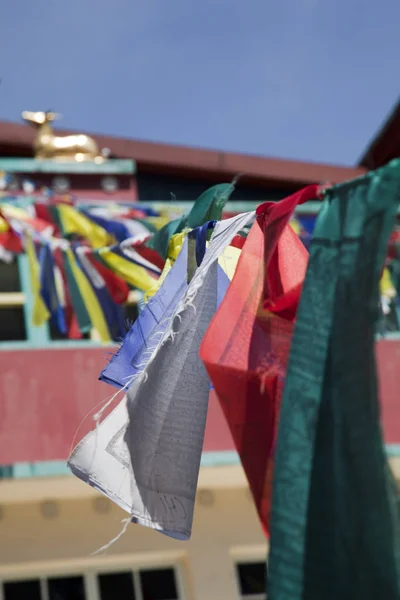 Banderas Colores Nacionales Sobre Fondo —  Fotos de Stock