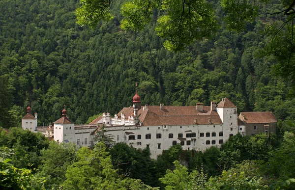 Malebný Pohled Majestátní Středověkou Hradní Architekturu — Stock fotografie