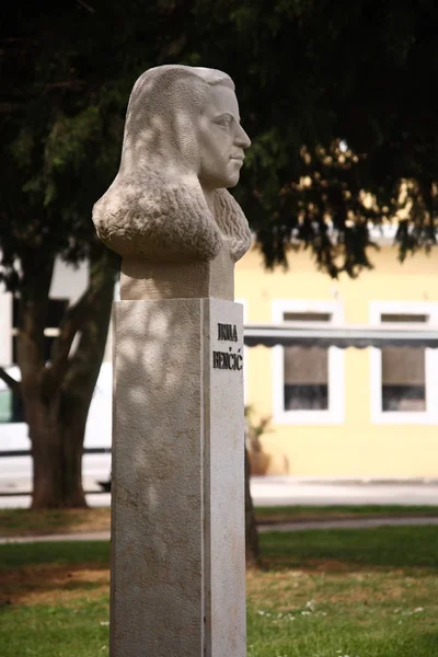 Irma Bencic Büstü — Stok fotoğraf