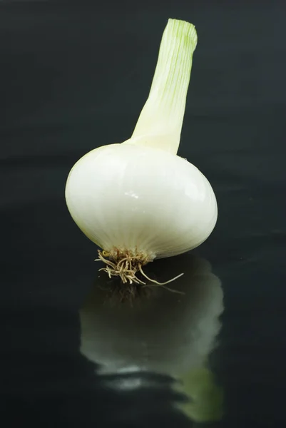 Cebolla Blanca Con Reflejo Sobre Fondo Negro —  Fotos de Stock