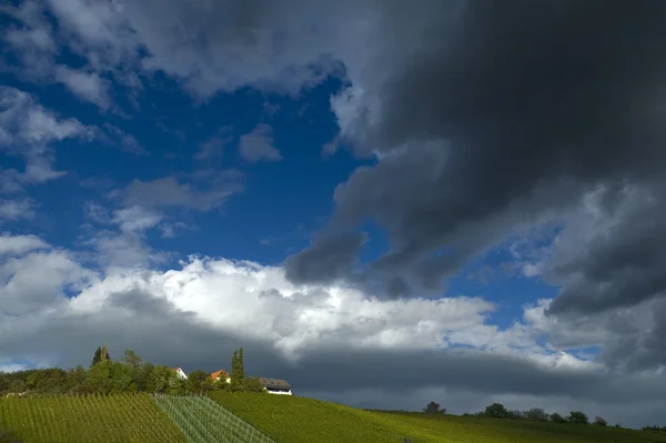 ブドウ畑の上に嵐の雲 — ストック写真