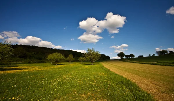 田園風景の絵のような景色 — ストック写真