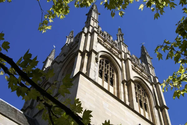 Каплиця Мертон Коледж Оксфорд Англія — стокове фото