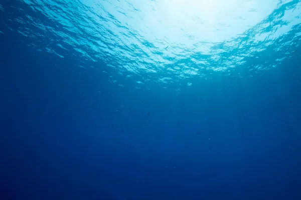 Синий Глубокий Океан Солнце Рыба — стоковое фото