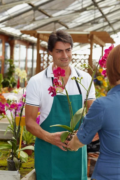 Retrato Floristerista Sonriente Con Flores Invernadero —  Fotos de Stock