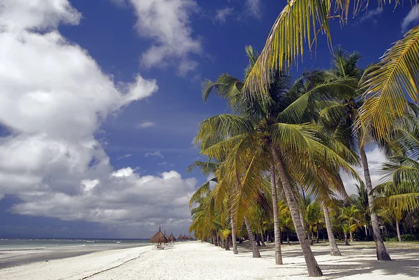 Hermoso Paisaje Playa Tropical — Foto de Stock