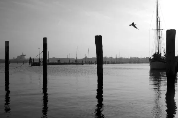 Scenic View Beautiful Harbor — Stock Photo, Image