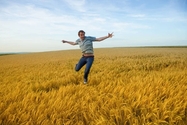 Homem Salta Campo Trigo Amarelo — Fotografia de Stock