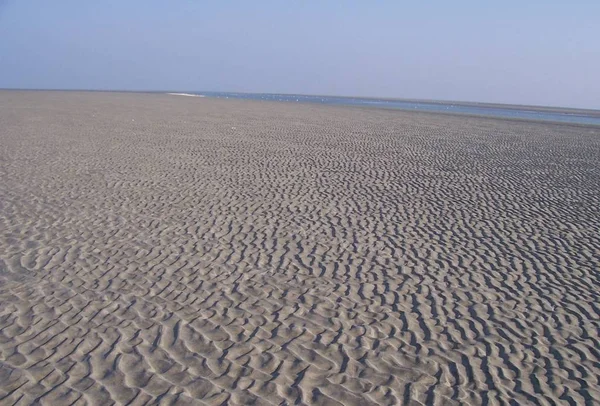 Vue Panoramique Des Dunes Mise Point Sélective — Photo