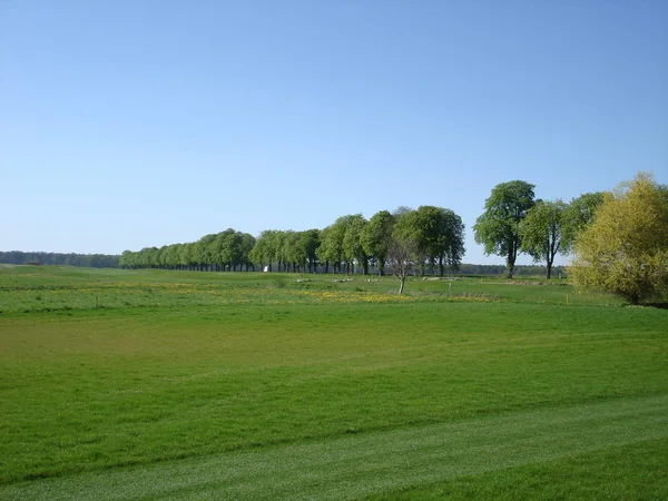 Schöne Aussicht Auf Die Natur — Stockfoto