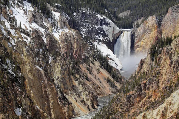 Parque Nacional Yellowstone Lower Falls — Foto de Stock