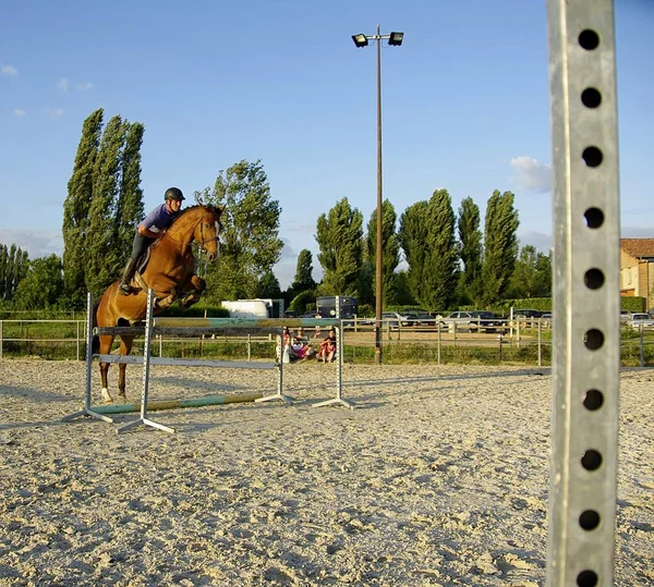 Man Actie Met Een Pistool — Stockfoto