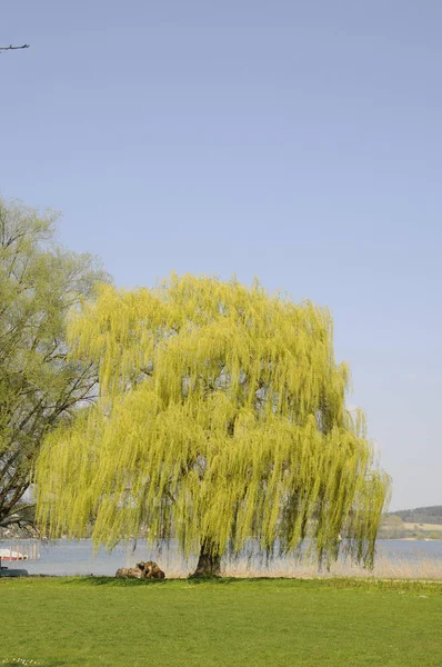 าบนชายฝ งของทะเลสาบ — ภาพถ่ายสต็อก
