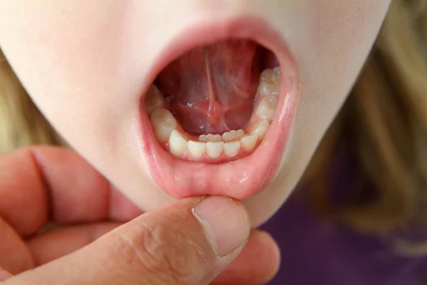 Szenische Sicht Auf Medizinisches Gesundheitskonzept — Stockfoto