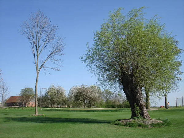 Prachtig Uitzicht Natuur — Stockfoto