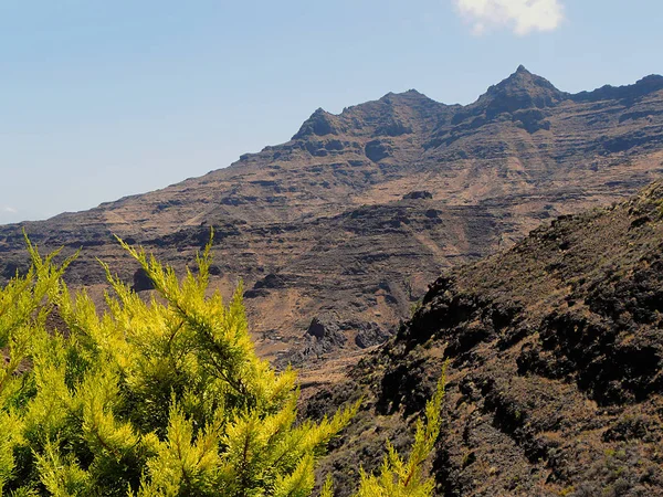 Desde Que Todo Archipiélago Madeira Surgió Tipo Volcánico — Foto de Stock