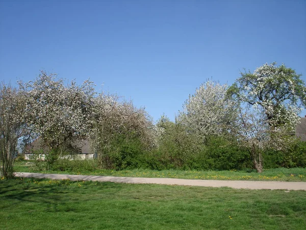 Prachtig Uitzicht Het Natuurlandschap — Stockfoto