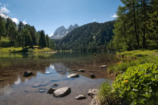 Pemandangan Indah Alpen Lanskap — Stok Foto