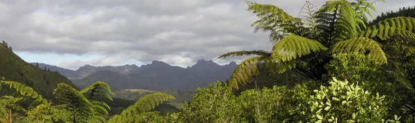 Yeni Zelanda Koromandel Aralığı — Stok fotoğraf