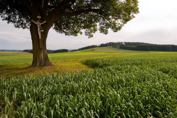 Baviera Hermosa Zona Tierra Alemania — Foto de Stock