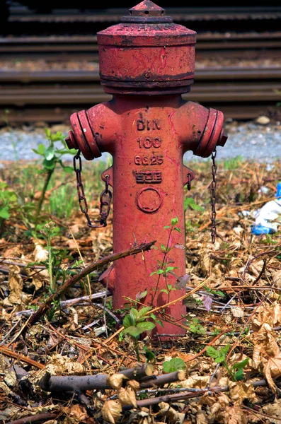 Velho Hidrante Fogo Vermelho Parque — Fotografia de Stock