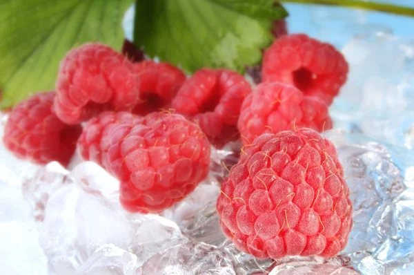 Fresh Raspberries Ice — Stock Photo, Image