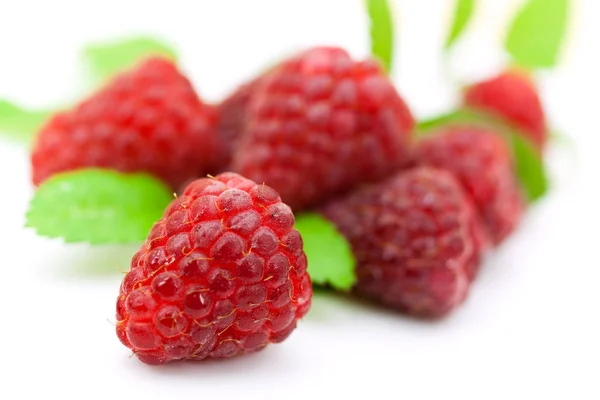 Beeren Nahaufnahme Gesundes Ernährungskonzept — Stockfoto