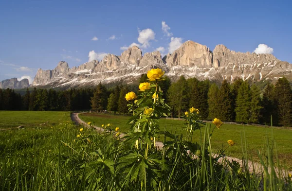 Vista Panorámica Del Majestuoso Paisaje Dolomitas Italia — Foto de Stock