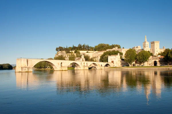 Ponte Rinoceronte Pont Benezet Avignon — Fotografia de Stock