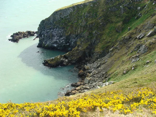 Blick Auf Landschaft Irland — Stockfoto