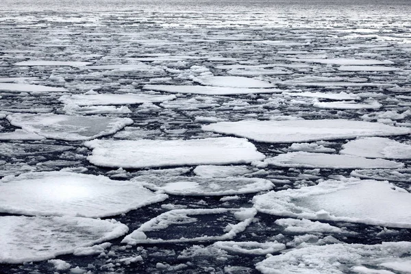 Geleira Antártica Polo Norte — Fotografia de Stock