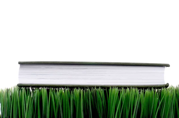 Libro Copertina Rigida Verde Seduto Sull Erba Con Uno Sfondo — Foto Stock