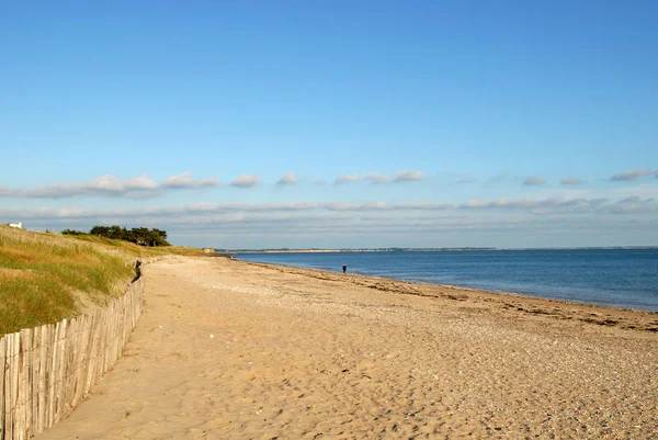 Vue Panoramique Des Dunes Mise Point Sélective — Photo