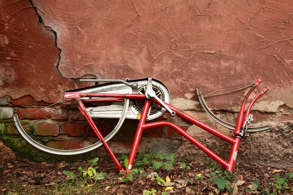 Natürlicher Hintergrund Selektiver Fokus — Stockfoto