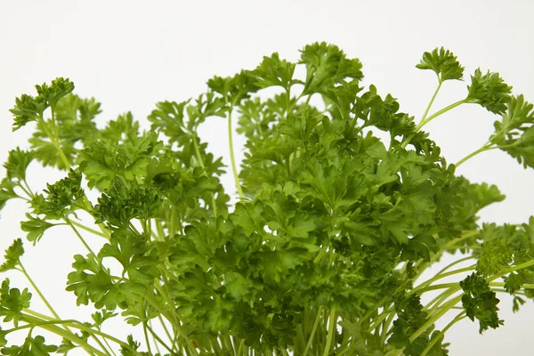 Vegetarian Food Selective Focus — Stock Photo, Image