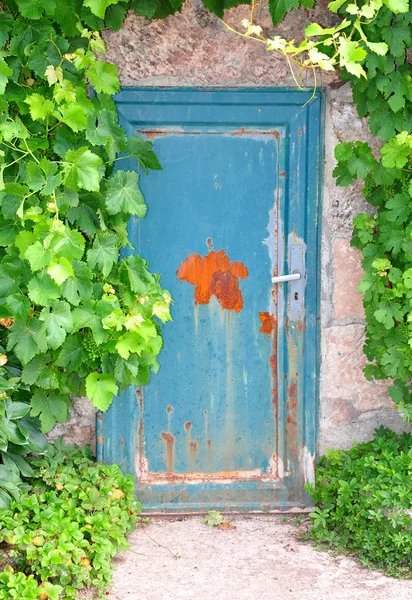 酒窖的门 — 图库照片