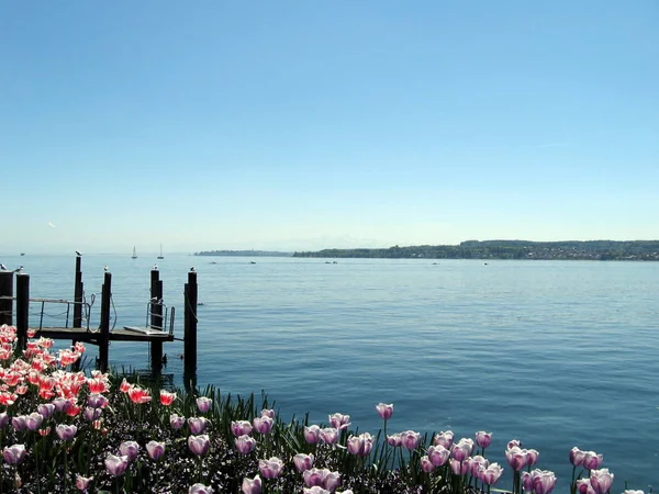 Schöne Aussicht Auf Die Natur — Stockfoto