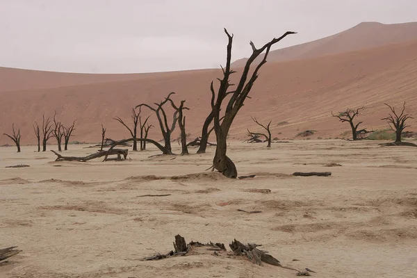 ナミビアの砂漠の風景は — ストック写真