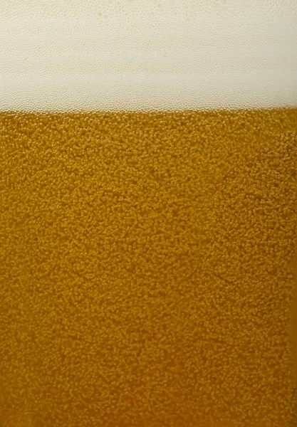 Bier Glas — Stockfoto