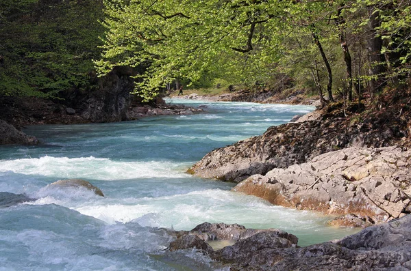 Doğanın Güzel Manzarası — Stok fotoğraf