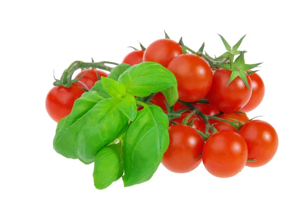 Tomate Und Basilikum Tomate Und Basilikum — Stockfoto