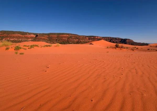 Coralpinksanddunes Μια Σύντομη Αξία Παράκαμψης Είναι Κοραλλιογενείς Ροζ Αμμόλοφους Kanab — Φωτογραφία Αρχείου