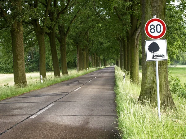 Malebný Pohled Avenue Selektivní Zaměření — Stock fotografie