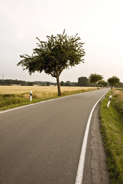 Scenic View Countryside Selective Focus — Stock Photo, Image