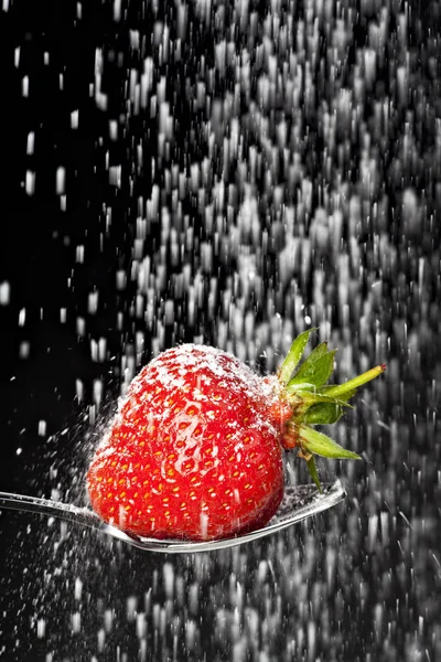 Puderzucker Fällt Auf Eine Erdbeere — Stockfoto