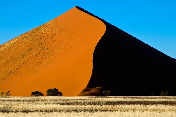 Panoramisch Uitzicht Duinen Selectieve Focus — Stockfoto