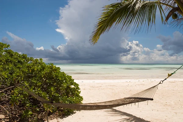 Beach Romance Zanzibar — Stock Photo, Image